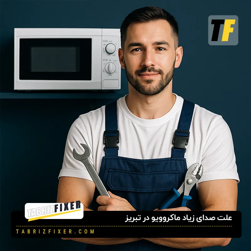 علت صدای زیاد ماکروویو