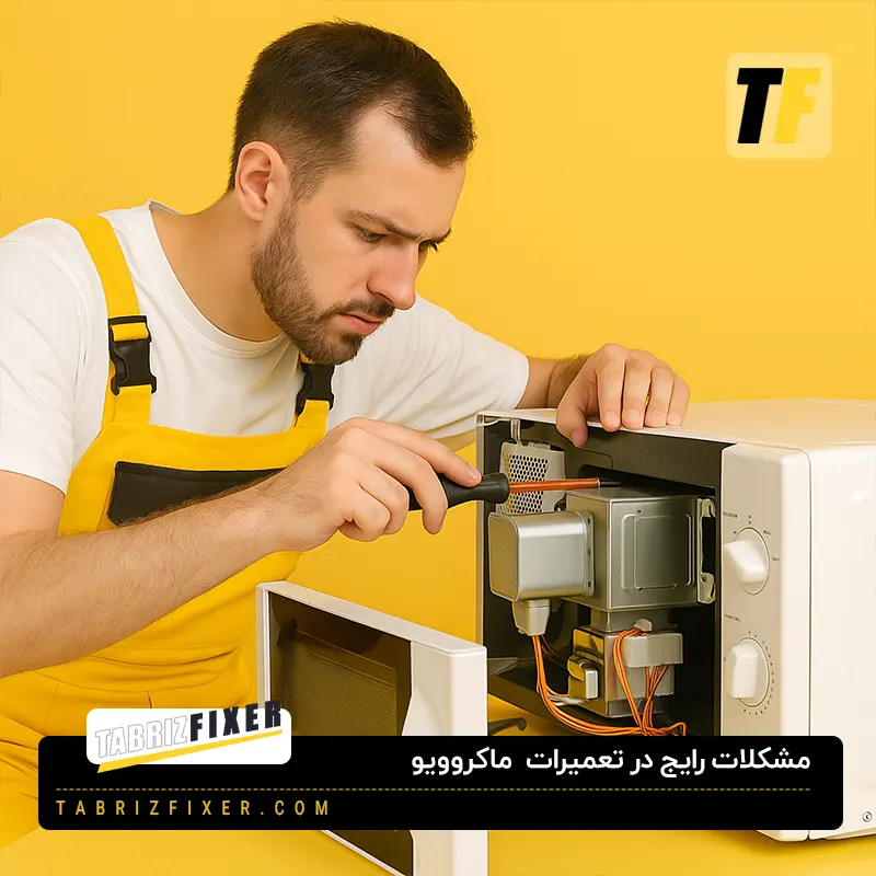 مشکلات رایج ماکروویو