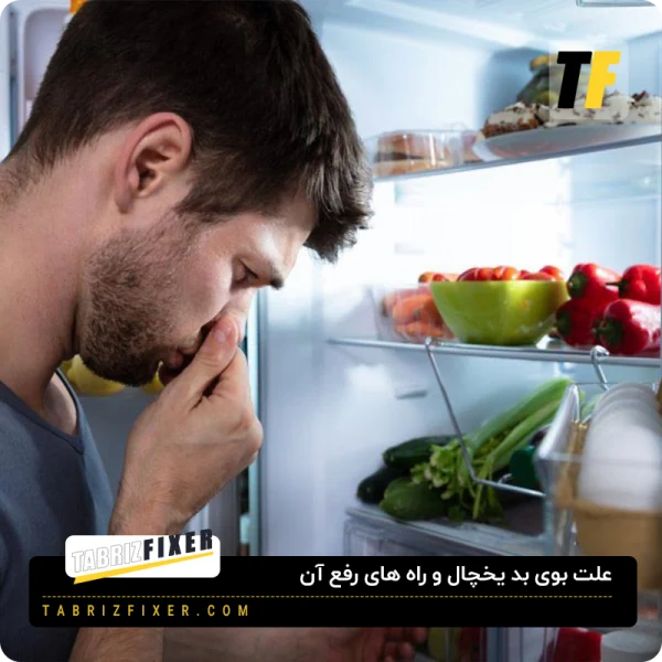 علت بوی بد یخچال و راه های رفع آن